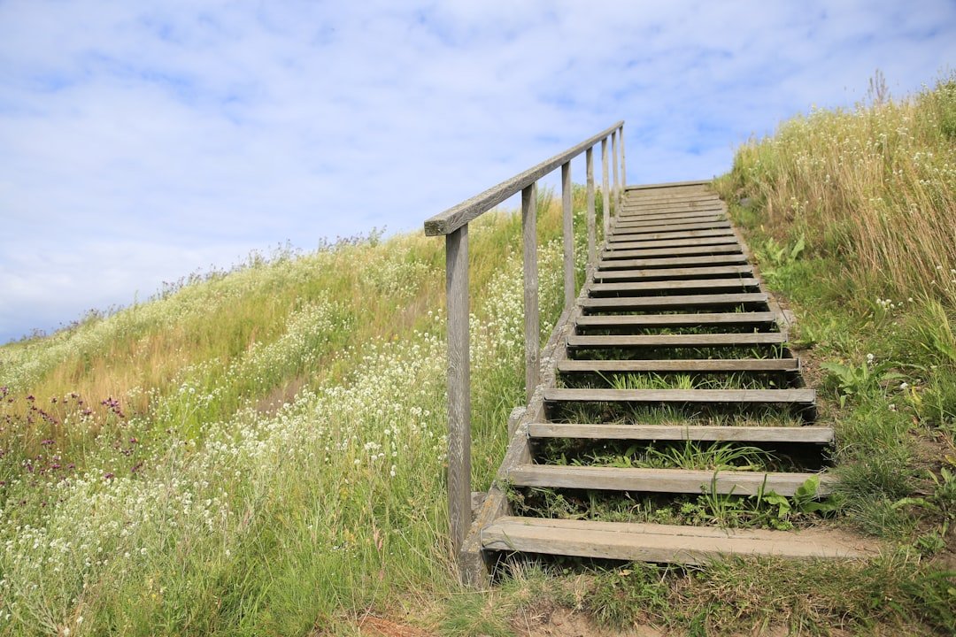 a-set-of-stairs-going-up-a-grassy-hill-3xxk8w-2-yy