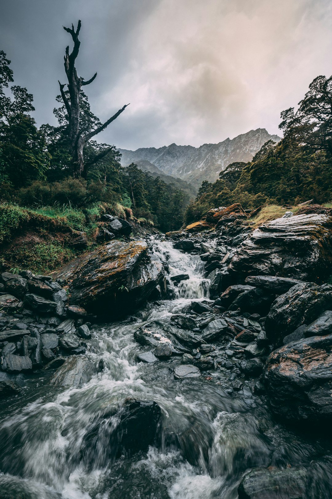 about-02 photo-of-river-surrounded-by-rocks-13wv8mkp4yi